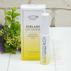 [(A)] EYEZ ACY ACbV |][ N2i܂їpWFj15g