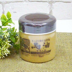 EHgCX nN[ EX 230g {fBpێN[