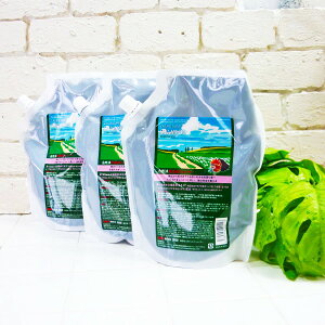 [(A)] 3Zbg SUNNYPLACETj[vCXUNY_Vv[{gX800ml(l֗ptB)