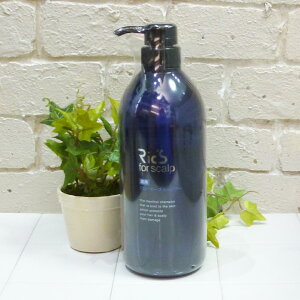 [(A)] bNX p O[L[vVv[ q{́r 800ml 򕔊Oi