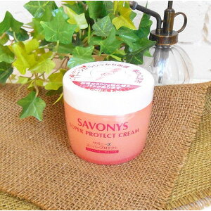 ЋeT{j[YX[p[veNgN[@250gtFCXCEpیN[