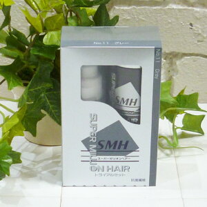 X[p[~IwA[ gCAZbg qO[r