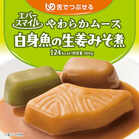 介護食 大和製罐 エバースマイル ムース食 主菜 デイリー 白身魚の生姜みそ煮 ◆ 舌でつぶせる やわらかムース ソフト食 病院 介護施設 食事 嚥下 おかず レトルト 高カロリー とろみ 常温 防災 公式