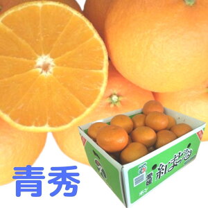 Ε g܂ǂ yGz 3`4Li5kgj JAQy kCꑗ1,500~z