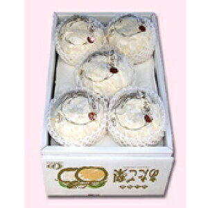 yΕz 4ʁ`6(4kg) y kCꑗ1,500~z