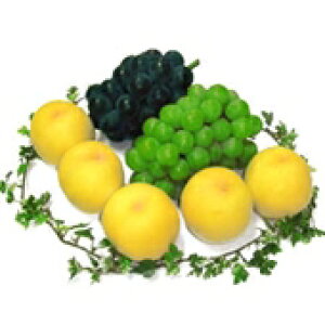 \̔ 5`6i1.4kgjE}XJbgi1[jEsI[li1[jl u̍܂̉BꂽivRY yA ʓrkCꑗ1,500~z