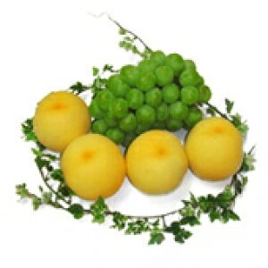 \̔iCji3`4jƃ}XJbgi1[jl u̍܂̉BꂽivRY yA ʓrkCꑗ1,500~z