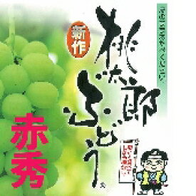 岡山特産「桃太郎ぶどう(皮ごと食べれる）」 2房：1.4kg以上[赤秀] ハウス栽培