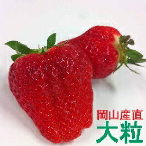 Ε@@yRYz嗱 i1kgjy kCꑗ1,500~z