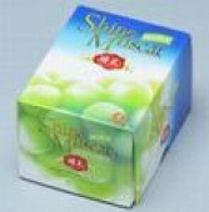 RYVC}XJbg yz2[i1.2kgjR͔|サĂ镒łB