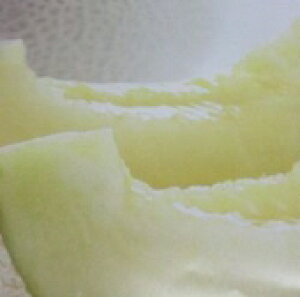 }XN(A[X)ymEF{Yz 1.3kg×1y AkCEʓrꑗ1,500~z