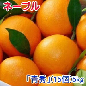 �݂��� �z�~���n�t�t���l�[�u���I�����W�@�u�G�v�i��5kg�j 15�`18�� JA������