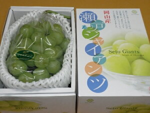 ˃WCAc yԏGz 1[(700g)