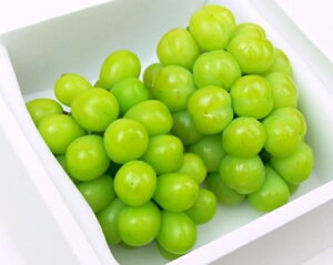 ˃WCAc yԏGz 2`3 (1kg)