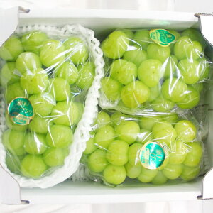 ˃WCAc yԏGz 3`5[(2kg) ӂ邳ƕYi