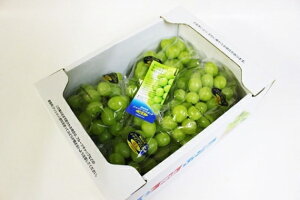 yYizԂǂ VC}XJbg yԏGz 3`5[(2kg)@u RYvJAS_