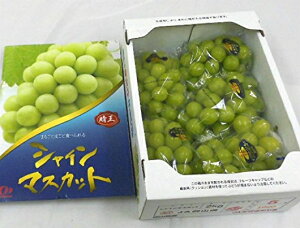 yYizԂǂ@VC}XJbgyzyGzi2kgjRY ܂ŐHׂĎ햳xԂǂłBJAS_ܓo^iłB