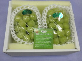 ★予約販売★【産直品】ぶどう岡山産 シャインマスカット　 2〜3房(1kg)【送料無料 但し※別途北海道・沖縄送料1,500円】