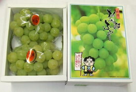 ぶどう 桃太郎ぶどう 【青秀】 2房(1kg)