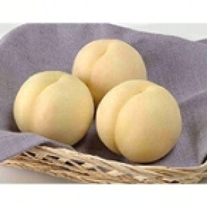 ������ܖ����� �y���C�����z 7�`8�� 1.8kg ���x12�x�ȏ�y�������� �A�����ʓr�k�C���E���ꑗ��1,500�~�z