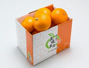 「お歳暮 」【 あいか】紅まどんなと同品種です。約1.5kg (サイズおまかせ)