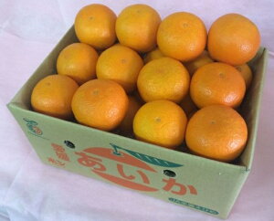 大特価!「お歳暮 」【 あいか】紅まどんなと同品種です。 L〜4L(約5kg)