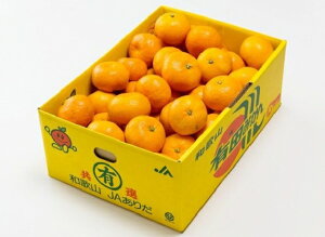 Ε@݂@Lc݂ yԏGz L`2L(5kg) a̎R@ y@AkCE͑\1500z