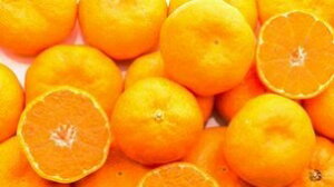 Ε@݂ Q݂ yԏGz 2L(9kg) JAЂߒ ӂ邳ƕYi