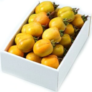 ` yDiz 2L`3L(6kg) 28`44EREY ӂ邳ƕYi