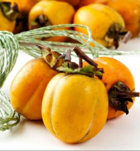 ` yGiz 2L`3L(3kg)14`22 RY ӂ邳ƕYi