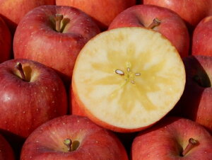 ����(�����Ƃ�) 10�`14�� ��2kg ������