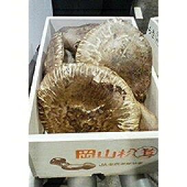 楽天市場】 まつたけ > 岡山県産 : 有限会社もも屋