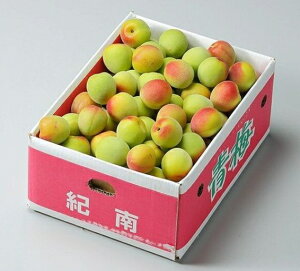 �\��̔��I���Y �썂�~ �i�~�j�y�G�i�z M�T�C�Y ��5kg �a�̎R�E���R�E�����E�ޗǎY ���~�̔����ʐ^�ƈقȂ鎖������܂��B�y�������� ���A���k�C���E����@�ʓr����1,500�~�z