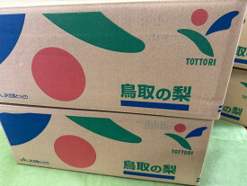 梨 二十世紀梨【青秀】(2～3L・14～16個入り) 5kg JA鳥取　発送は9月上旬から！