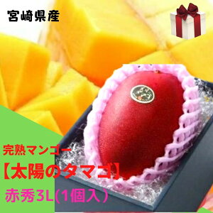 �\��̔��I���n�}���S�[�y���z�̃^�}�S�z �ԏG 3L(��450g�ȏ�×1��) (���x15�x�ȏ�) JA�{��y�������� ���A���k�C���E����ʓr����1,500�~�z