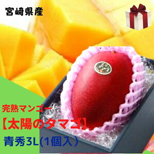�\��̔��I���n�}���S�[�y���z�̃^�}�S�z �G 3L(��450g�ȏ�×1��) (���x15�x�ȏ�) JA�{�� �y�������� ���A���k�C���E����@�ʓr����1,500�~�z