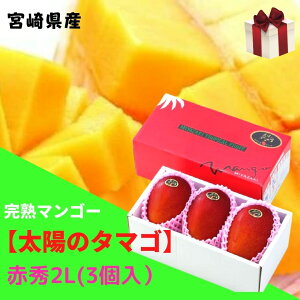�\��̔��I���n�}���S�[�y���z�̃^�}�S�z �ԏG 2L(��350g�ȏ�×3��) (���x15�x�ȏ�) JA�{�� �y�������� ���k�C�����ꑗ��1,500�~�z