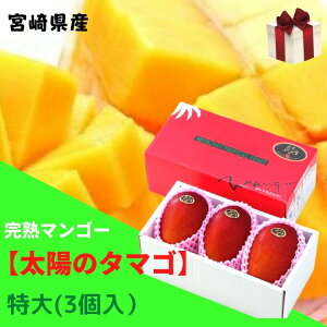 �\��̔��I�݂₴���u�����h�I���n�}���S�[�u���z�̃^�}�S�v����3����i��510g×3�j ���x15�x�ȏ� JA�{��y�������� ���A���@�k�C���E����ʓr�@����1,500�~�z