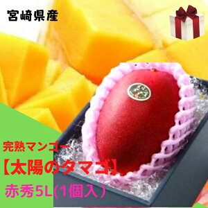 �\��̔��I���n�}���S�[�u���z�̃^�}�S�v������E�ԏG�i���x15�x�ȏ�)�i��600g×1�j �y�������� ���A���k�C���E����ʓr����1,500�~�z