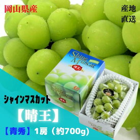 【産直品】ぶどう シャインマスカット晴王 【青秀】 1房(約700g)　 「 岡山県産」JA全農おかやま