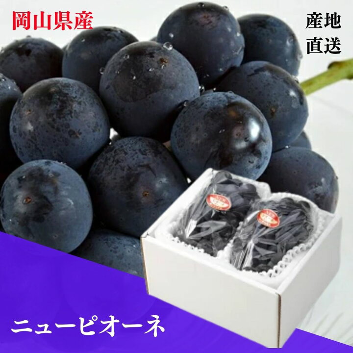 楽天市場】【産直品】ぶどう ニューピオーネ 【赤秀】 2房(約1kg 