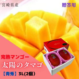 �\��̔��I���n�}���S�[�y���z�̃^�}�S�z �G 3L(��450g�ȏ�×2��) (���x15�x�ȏ�) JA�{�� �y�������� ���A���k�C���E����ʓr����1,500�~�z�@��j�@���@�a�����@�M�t�g�@�����p