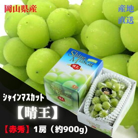 【産直品】ぶどう シャインマスカット晴王 【赤秀】 1房(約900g)　　「 岡山県産」JA全農おかやま