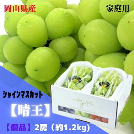 【産直品】ぶどうシャインマスカット晴王 【訳あり！】 2～3房(約1.2kg) 岡山県産 　訳あり商品の為、返品・交換クレーム不可！【送料無料 但し※別途北海道・沖縄送料1,500円】