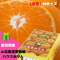 楽天市場】山北 みかん 5kgの通販