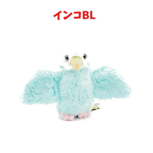 tbtB[Y CR BL u[ S ʂ Ƃ   L v[g q A   킢 lC 