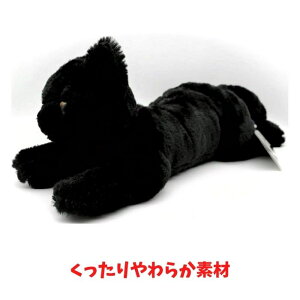 Ђ˂ M ʂ  L BK ubN lR ObY ߋ  LbY v[g  ybg Mtg lC 킢 ObY