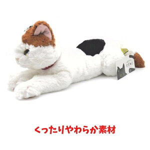 Ђ˂ M ʂ ~P OєL  L lR ˂ ObY v[g q A  킢 lC Mtg LbY qǂ