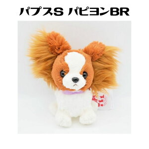 pvXS ps uE ʂ BR   L v[g q A  LbY 킢 lC ObY Mtg CeA