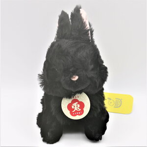 sk noi BK  ʂ  ubN ETM  v[g q A  LbY ObY lC 킢 Mtg